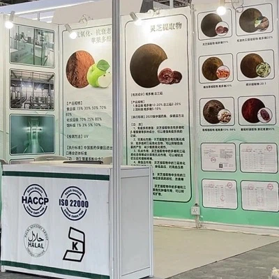 Vidunderlig anmeldelse WPE & WHPE2024!